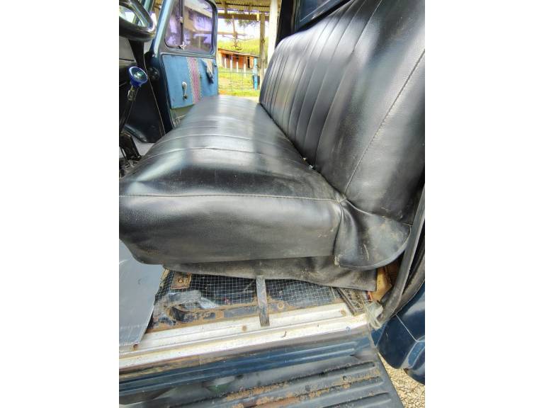 CHEVROLET - D-60 - 1980/1980 - Azul - R$ 45.000,00