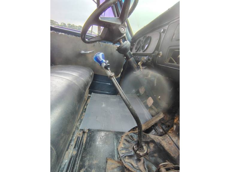 CHEVROLET - D-60 - 1980/1980 - Azul - R$ 45.000,00