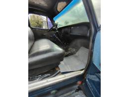 CHEVROLET - D-60 - 1980/1980 - Azul - R$ 45.000,00