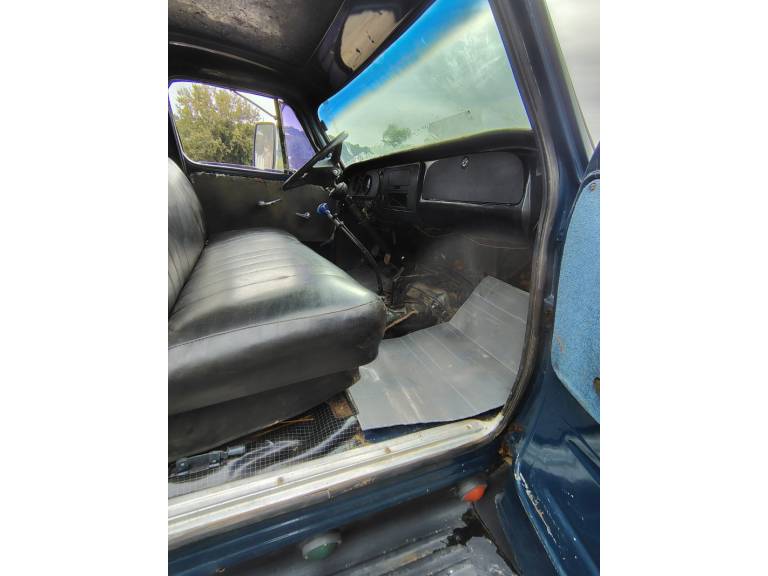 CHEVROLET - D-60 - 1980/1980 - Azul - R$ 45.000,00