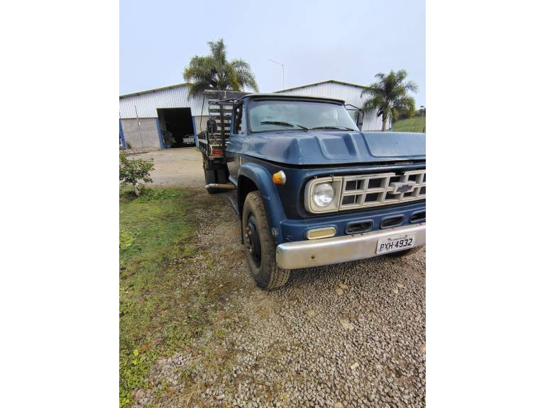 CHEVROLET - D-60 - 1980/1980 - Azul - R$ 45.000,00